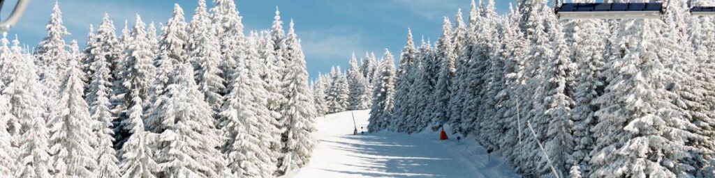 obrazek zimy w artykule narty dla niepełnosprawnych